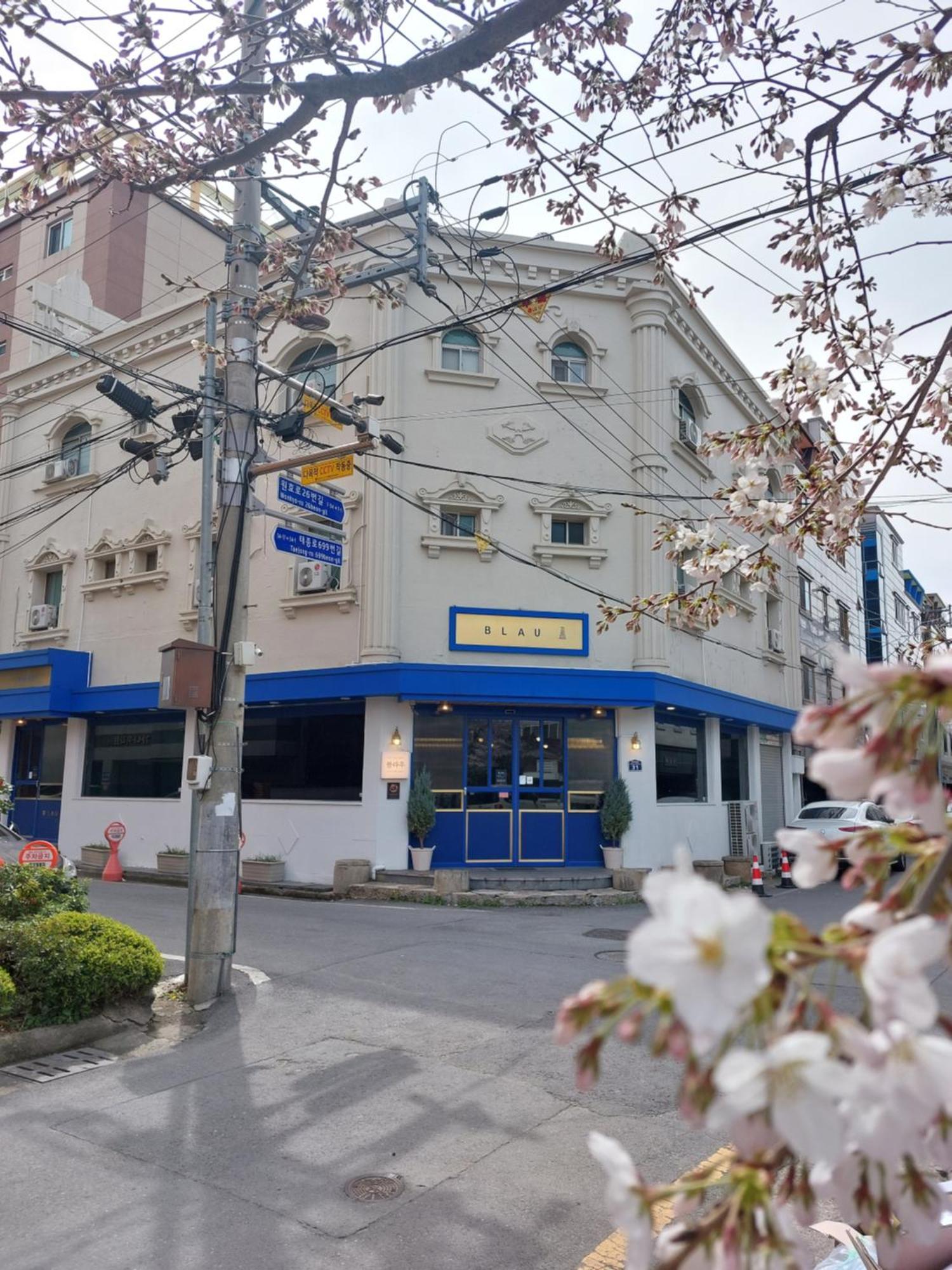 Blau Guesthouse Gyeongju Exterior foto